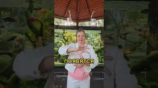 Зайди если одинока 