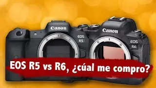 EOS R5 vs EOS R6 ¿Cuál me compro?