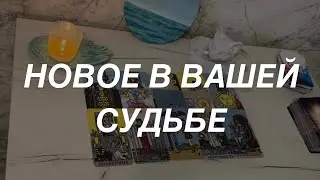 Таро расклад для мужчин. Новое в Вашей Судьбе 💯🔥