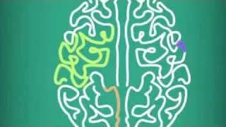 How the Brain Changes in Childhood and Adolescence