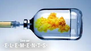 What Is Plasma Therapy & How Does It Help Fight COVID-19?