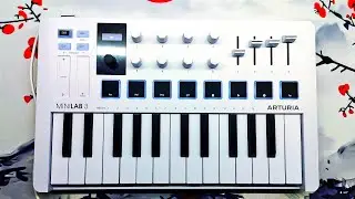 Arturia Minilab 3: Dj в Ableton Live 12