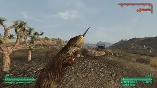 FNV: Iguana on a Stick Anim