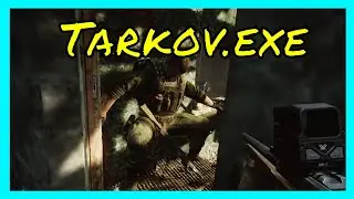 New Tarkov Wipe Experience