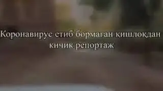 27 октября 2020 г.