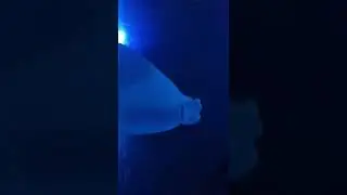 Аквариум. Стамбул