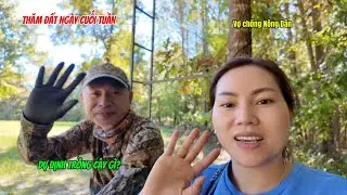 #514|| CUỐI TUẦN ĐI THĂM ĐẤT Ở MỸ _ Lý Do Mua Đất Rừng? Vc Bàn Kế Hoạch Trồng Cây Gì Cho Năm Sau?