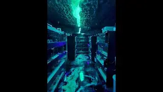 My man cave snake room.