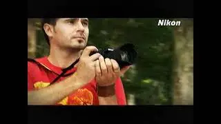 Nikon Forest + TIMON WEHRLI 