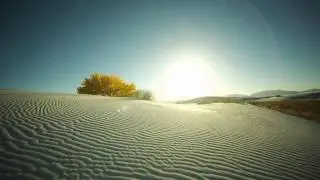 Solar Fields - Sol
