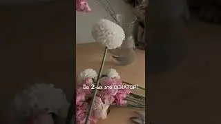 Как увеличить стойкость цветов всего за 3 шага 🌷