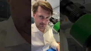 ⚠️Лазер на лазерных шоу может повредить камеру вашего iPhone⚠️