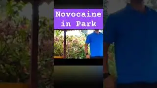 Novocaine in Park | Gandhi Park, NL, Assam | 