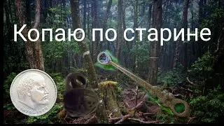 По полям по лесам ишем клад.