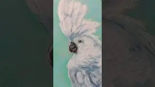РИСУЕМ ПОПУГАЯ / МАСТЕР-КЛАСС ПОШАГОВО С ПОДРОБНЫМ ОБЪЯСНЕНИЕМ/ white parrot / pastel / #painting