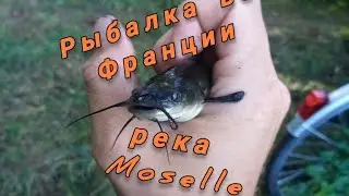 Рыбалка на спиннинг на реке Moselle (Metz/France)