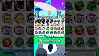 Inventory Of A Top 69 Player  Pet Simulator X Roblox