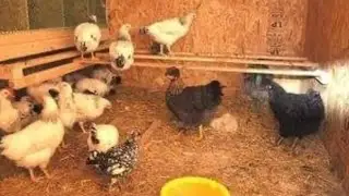 Наши планы на лето