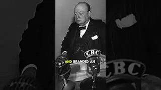 A portrait of POWER! - Winston Churchill #ww2 #history #historyfacts #worldwar2 #winstonchurchill