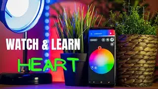 WATCH AND LEARN - CARDIOVASCULAR SYSTEM