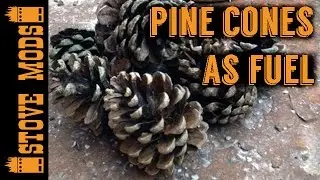 PINE CONES AS FUEL FOR A HOBO STOVE