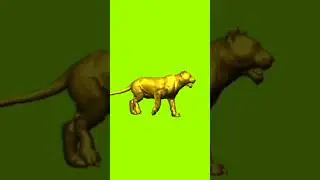 lion is the best #shorts #subscribe