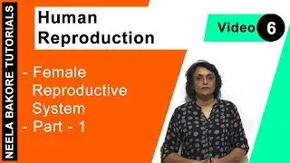 Human Reproduction | NEET | Female Reproductive System - Part 1 | Neela Bakore Tutorials