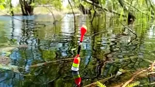 ЛОВЛЯ КАРАСЯ НА ПОПЛАВОЧНУЮ УДОЧКУ в дождик