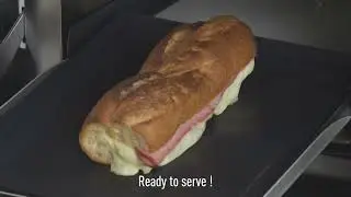 Professional Microwave : Speed Convection Oven Tutorial