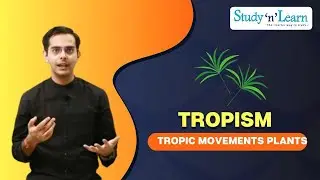 Tropism | Tropic Movements of Plants | Biology | Control and Coordination