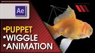 Adobe After Effects CS6 - Animating using Puppet Tool