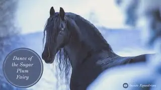 Dance of the Sugar Plum Fairy || Christmas Horse Music Video ||