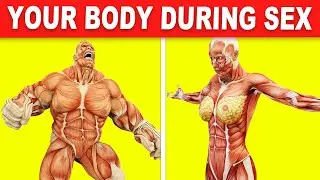 What Happens To Your Body While You Are Having Sex?