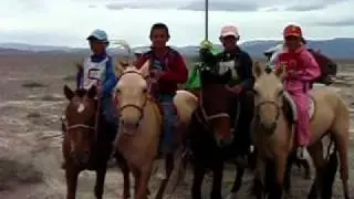 Дети на лошадях