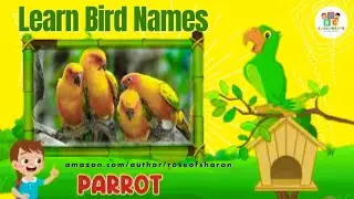 Birds Name | Learn Bird Names for Kids | Educational Video by Children’s Learning Channel