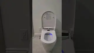 Hands free toilet
