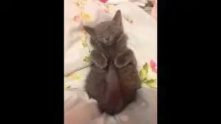 This Will Make You Feel Better About Life 1
