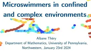 Albane Thery on "Building Models For Swimmers in Complex and Confined Environments"