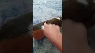 свинка комбат