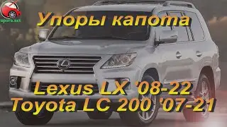 Упоры / амортизаторы капота на Lexus LX 200 / Toyota Lend Cruiser 200 '07-22