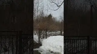 Про имение князей Долгоруковых - 2