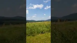 Краса🌿😍
