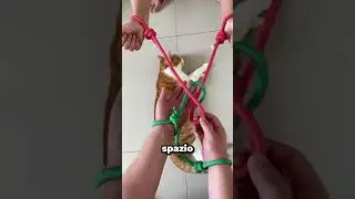 How to Get Out of Zip Ties in Seconds?