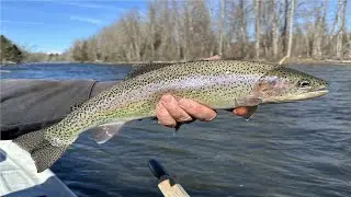 Yakima River Fly Fishing Report-March 21st, 2024-Worley Bugger Fly Co