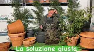 Non abbandoniamo le nostre piante