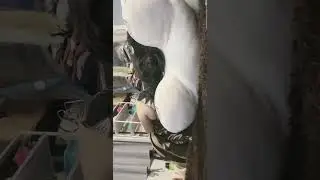 MEI MEI CHAN LIVE TIKTOK KETIDURAN