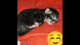 Тихий час.