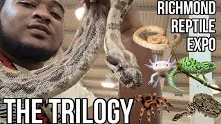 THE RICHMOND REPTILE EXPO 3 (again) 🐍🦎🐢