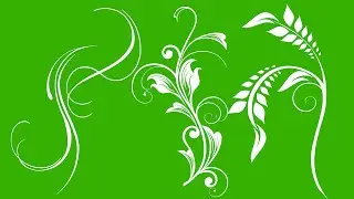 TOP 25 Vector Animated ( GREEN SCREEN )