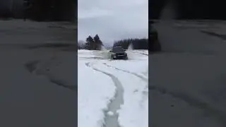 Dakota digging through heavy snow 